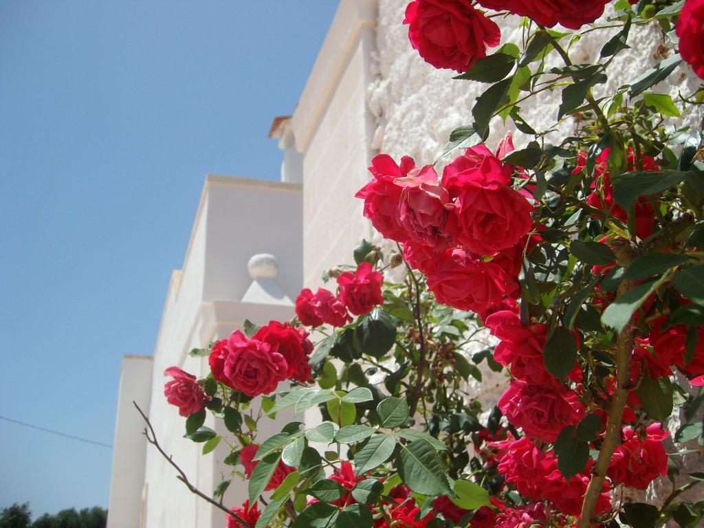 Masseria Nuova Francavilla Fontana Exterior photo